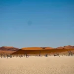SaveClip.App_468691448_18345083938124915_7082589195581567861_n